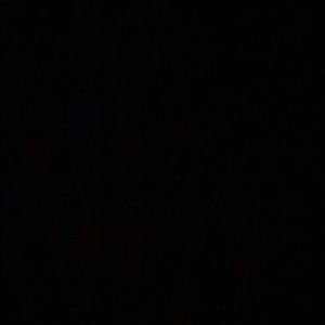 Meet your Posher, Cesar